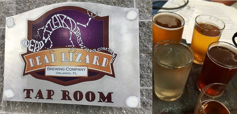 Dead Lizard Brewing Company Beer Is Fundamental